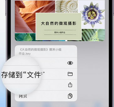 定州apple维修中心分享iPhone文件应用中存储和找到下载文件