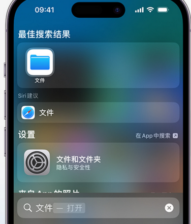 定州apple维修中心分享iPhone文件应用中存储和找到下载文件 