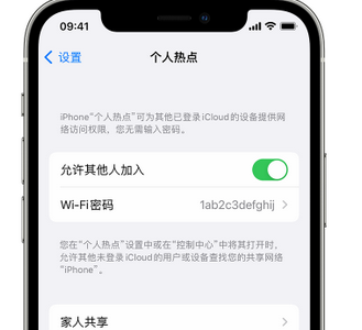 定州apple服务站点分享iPhone上个人热点丢失了怎么办