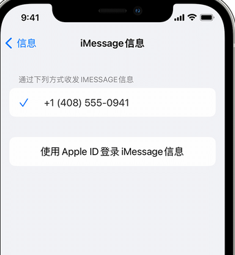 定州apple维修iPhone上无法正常发送iMessage信息 