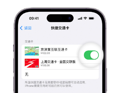 定州apple维修点分享iPhone上更换Apple Pay快捷交通卡手绘卡面 