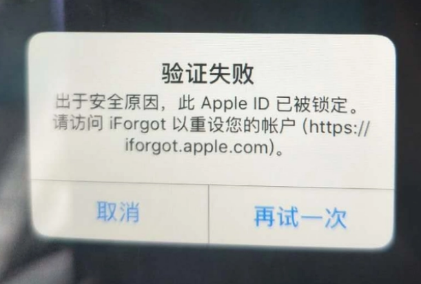 定州iPhone维修分享iPhone上正常登录或使用AppleID怎么办 