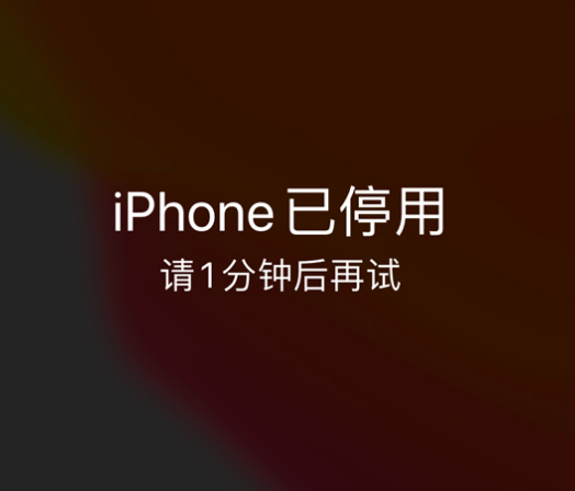 定州苹果手机维修分享:iPhone 显示“不可用”或“已停用”怎么办？还能保留数据吗？ 