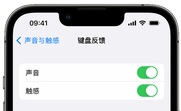 定州苹果手机维修分享iPhone 14触感键盘使用方法 