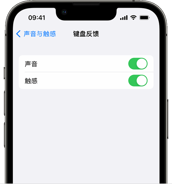 定州苹果14维修店分享如何在 iPhone 14 机型中使用触感键盘 