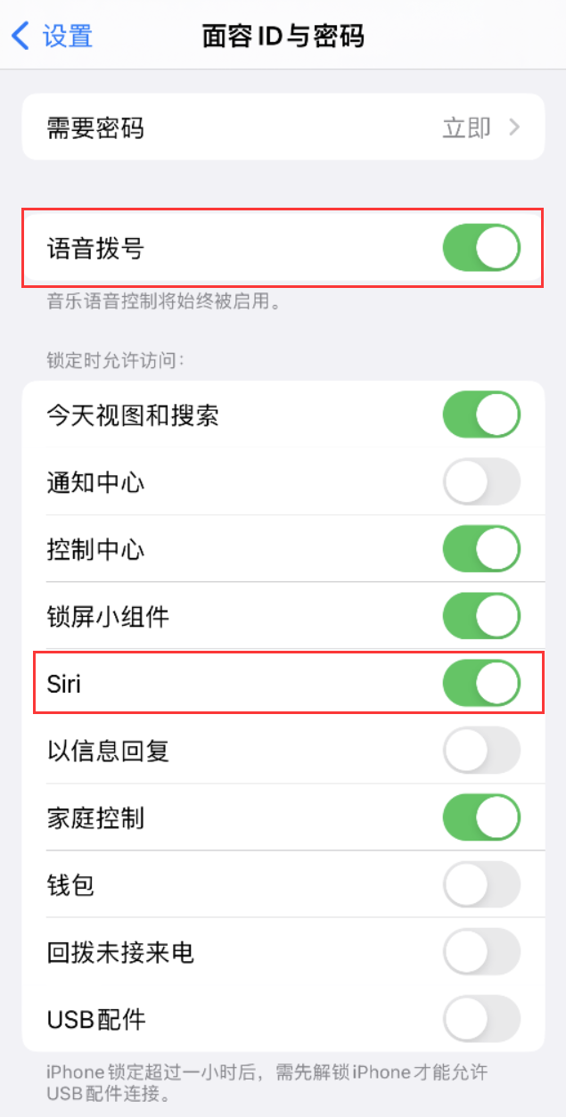 定州苹果维修网点分享不解锁 iPhone 的情况下通过 Siri 拨打电话的方法 