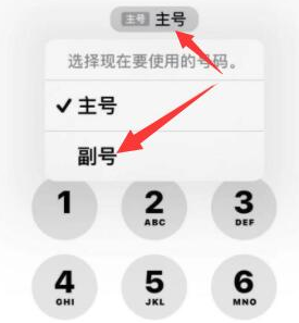 定州苹果14维修店分享iPhone 14 Pro Max使用副卡打电话的方法 