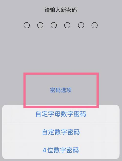 定州苹果14维修分享iPhone 14plus设置密码的方法 