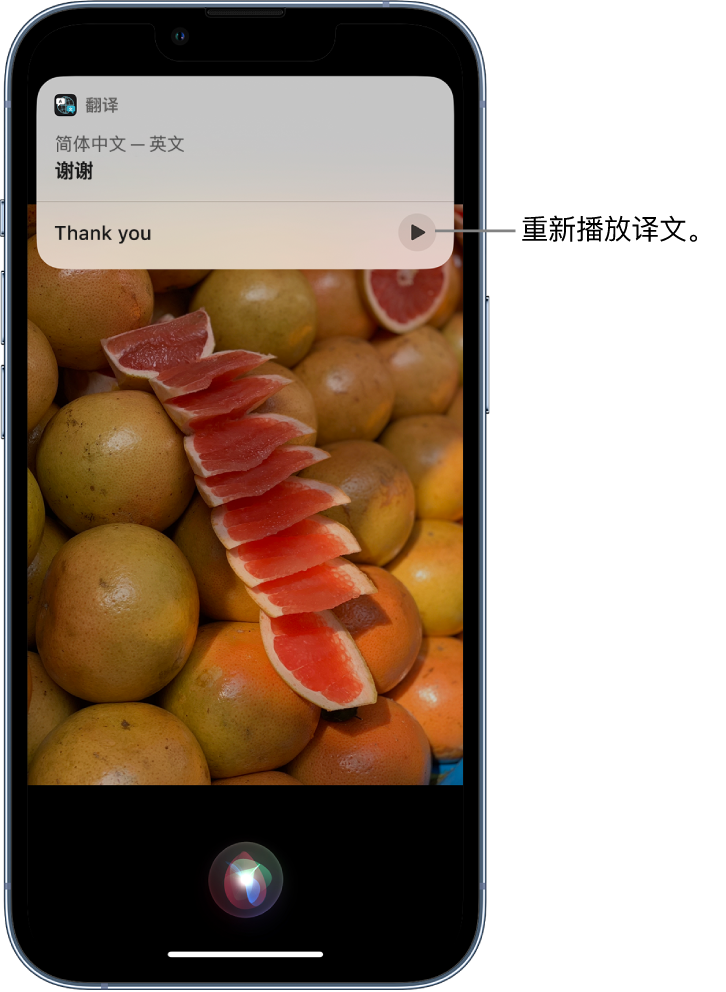 定州苹果14维修分享 iPhone 14 机型中使用 Siri：了解 Siri 能帮你做什么 