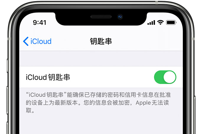 定州苹果手机维修分享在 iPhone 上开启 iCloud 钥匙串之后会储存哪些信息 