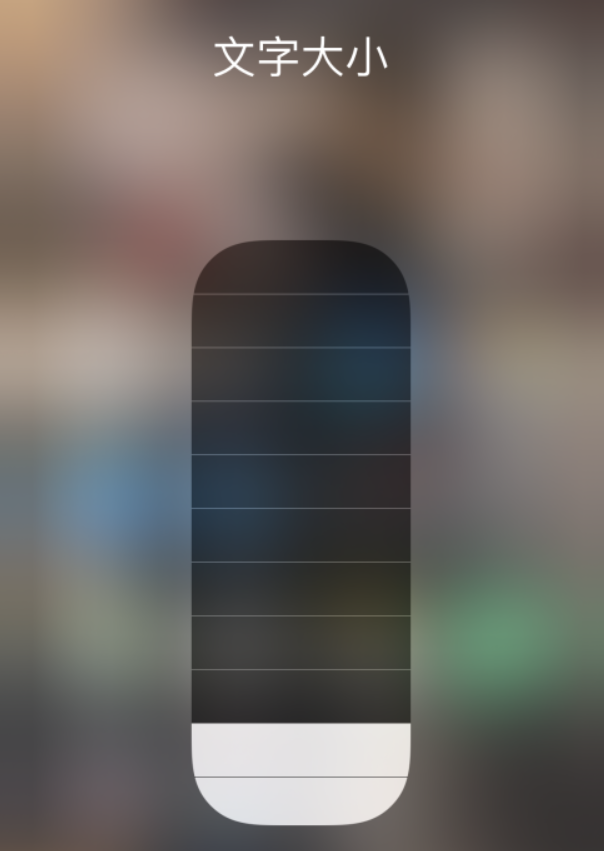 定州苹果手机维修分享小技巧：在 iPhone 控制中心快速调节字体大小 