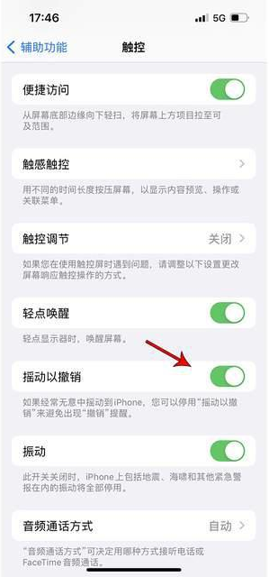 定州苹果手机维修分享iPhone手机如何设置摇一摇删除文字 