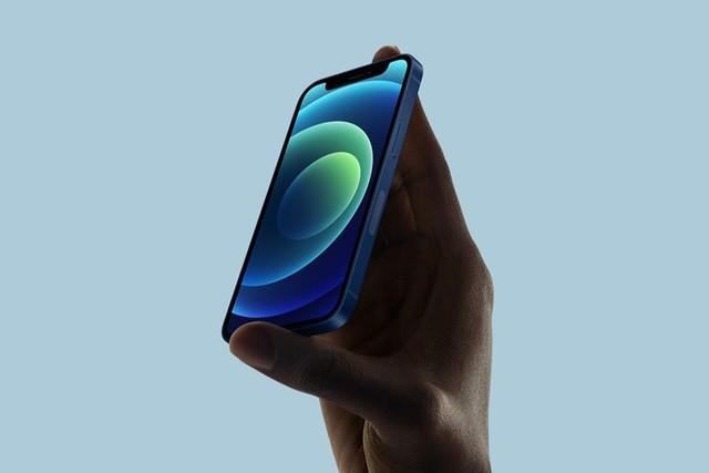 定州苹果手机维修分享iPhone 12 mini辐射很大吗 