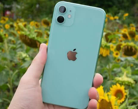 定州苹果维修点分享iPhone 11锁屏密码认知与使用科普 